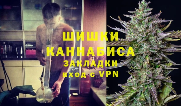 МДПВ Богородицк