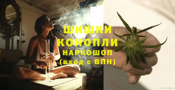МДПВ Богородицк