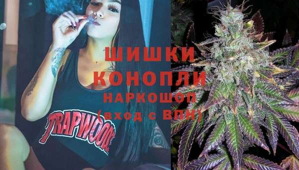 МДПВ Богородицк