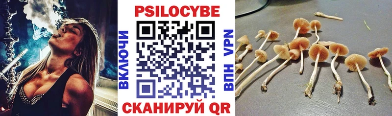 Псилоцибиновые грибы MAGIC MUSHROOMS Екатеринбург